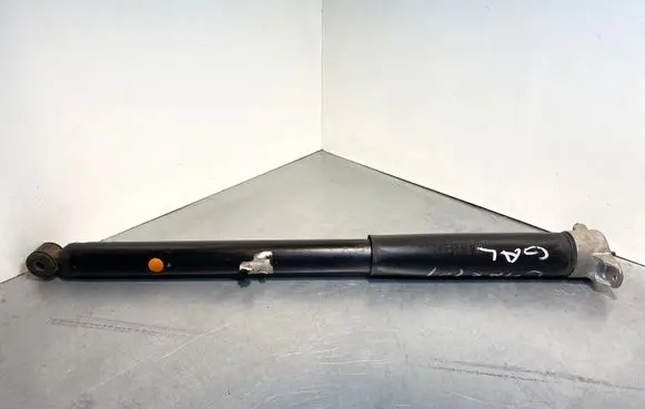 Ford C-MAX II Rear shock absorber/damper FS17709