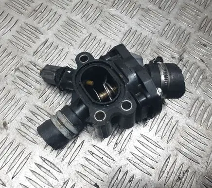 Thermostat/thermostat housing