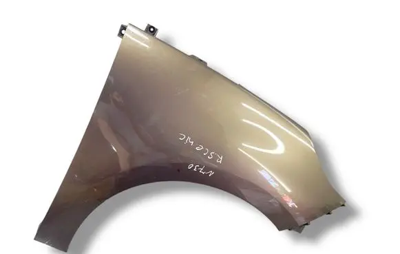 Renault Scenic III - Grand scenic III Fender