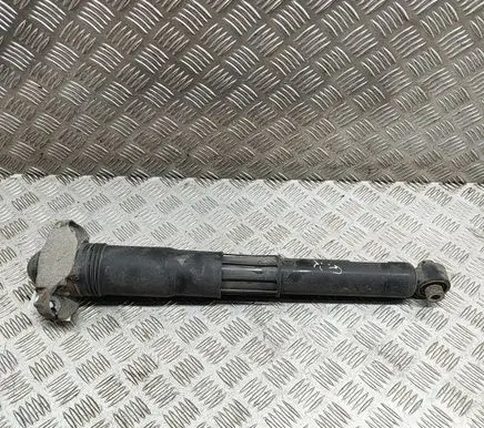 Volkswagen ID.4 Rear shock absorber/damper 1EA512013BD