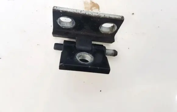 Volvo S60 Rear door lower hinge