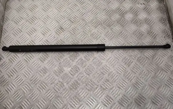 Tailgate/trunk strut/damper