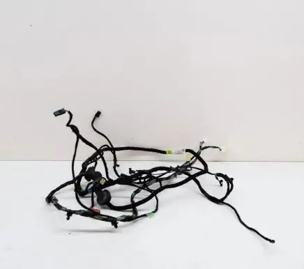 Tesla Model S Other wiring loom 100442891P 100442801P