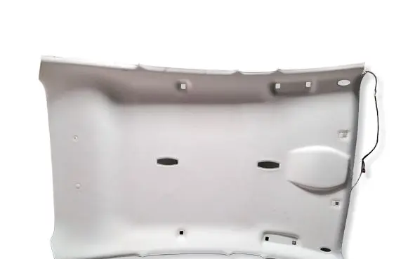 Ford Focus Headlining BM51A51916AF BM51A51918AM