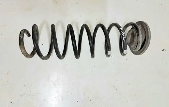 Rear coil spring