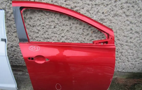 Renault Zoe Front door 801521112R