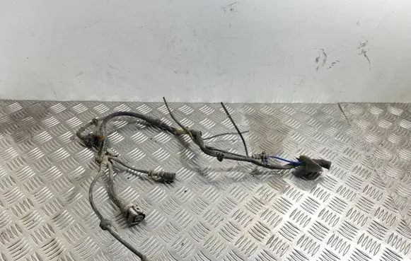 Audi A6 S6 C6 4F Rear ABS sensor wiring 4F0972254K