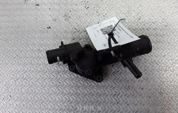 Thermostat/thermostat housing