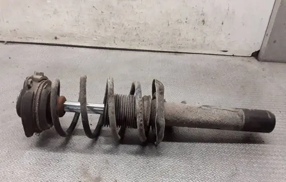 Volkswagen Golf V Front shock absorber with coil spring 