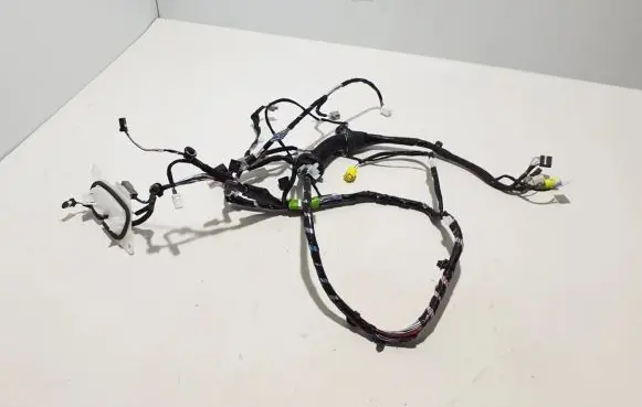 Lexus NX Other wiring loom 8215178450
