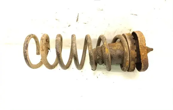 Rear coil spring