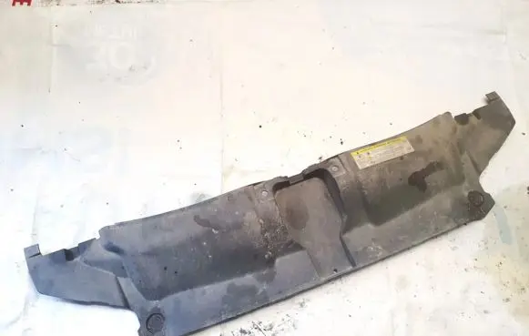 Engine bonnet/hood lock trim molding