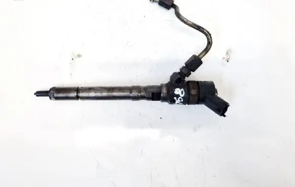 Hyundai Santa Fe Fuel injector 0445110064 3380027010