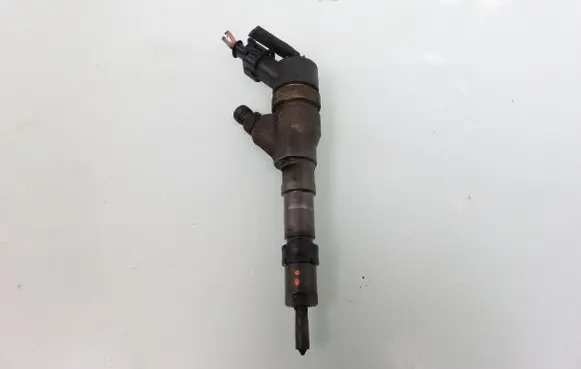 Citroen Xsara Picasso Fuel injector 0445110076 9641742880