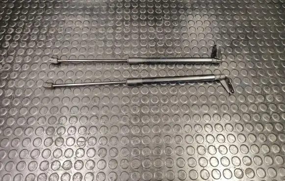 Nissan Murano Z51 Tailgate/trunk strut/damper 904501AB1A 904511AB1A