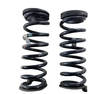 Rear coil spring