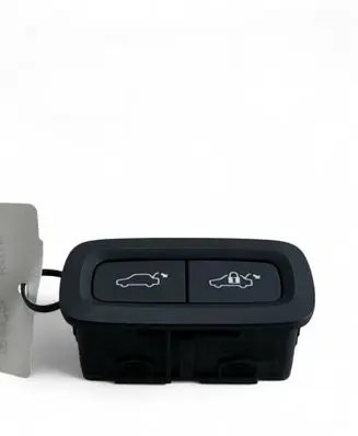 Tailgate opening switch