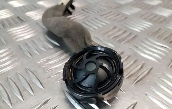 Front door high frequency speaker