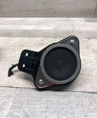 Panel speaker