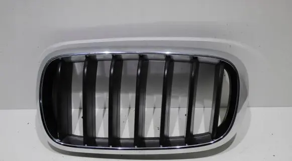 BMW X5 F15 Front bumper upper radiator grill 7316058