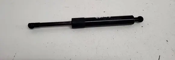 Tailgate/trunk strut/damper