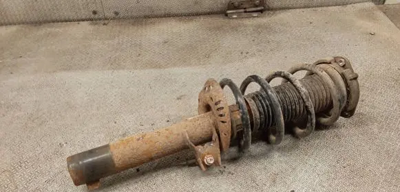 Skoda Yeti (5L) Front shock absorber with coil spring 