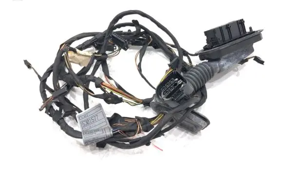 BMW 5 F10 F11 Rear door wiring loom 9240898
