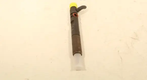 Renault Scenic III - Grand scenic III Fuel injector 28232251