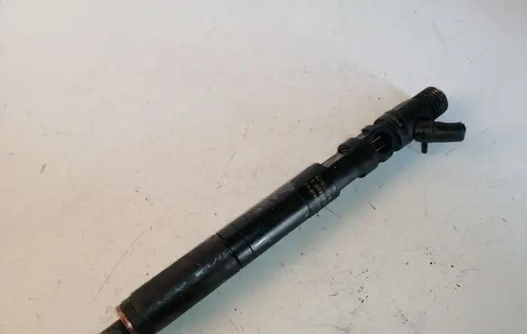 KIA Carnival Fuel injector EJBR02301Z