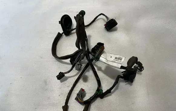 Rear door wiring loom