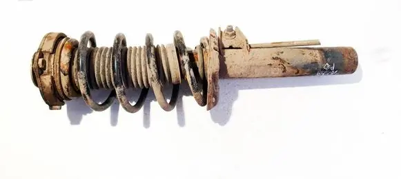 Volkswagen PASSAT B6 Front shock absorber/damper 3c0413031ae