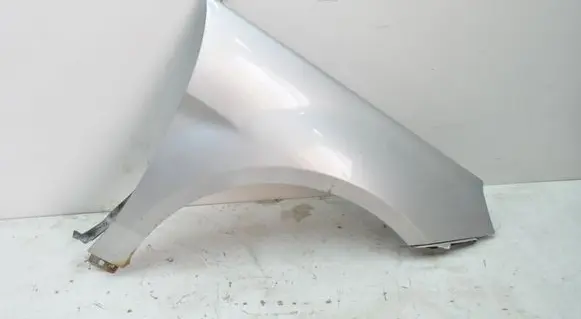 Mercedes-Benz B W245 Fender COLOR761