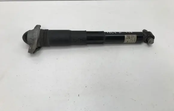 Volkswagen ID.4 Rear shock absorber/damper 1EA512013BC