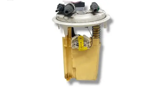 Citroen C5 In-tank fuel pump 82200
