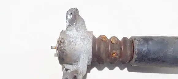 Coil spring mount