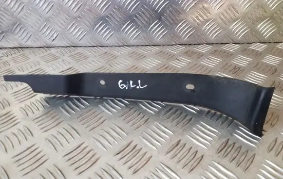 Rear/tail light trim molding
