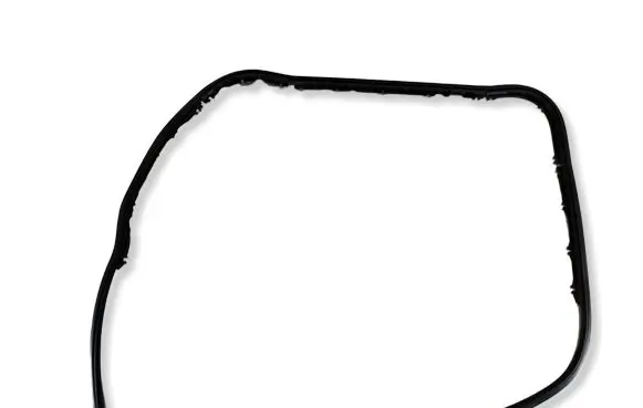 Audi A6 S6 C6 4F Rubber seal front door (on door) 4F0831346E