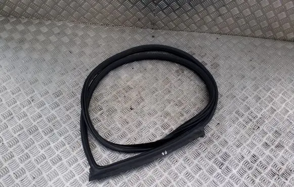 BMW 5 GT F07 Front door rubber seal 7196350