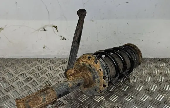Opel Zafira B Front shock absorber/damper 644609745 22214602