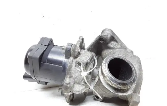 EGR valve