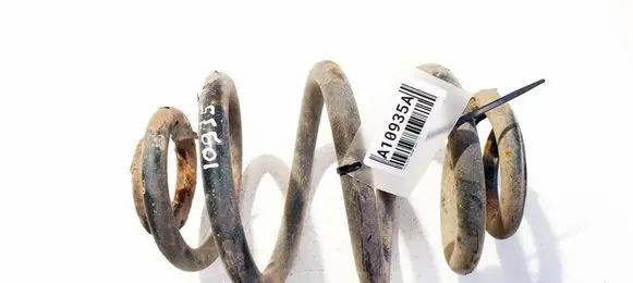 Volkswagen Sharan Rear coil spring 