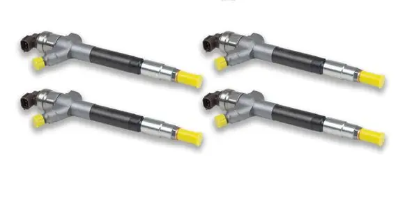 Land Rover Defender Fuel injector 0950005800 0950005801 10495010