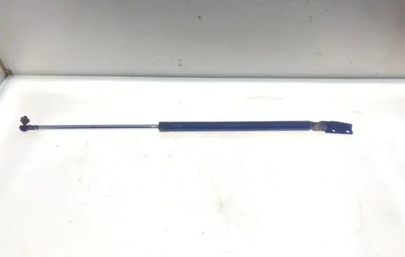 Subaru Forester SF Tailgate strut 