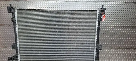 Renault Trafic III (X82) Coolant radiator S27639138 214106338R