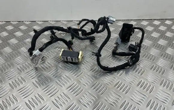 Ford Focus Other wiring loom JX6T14B079GKMD JX6T14B079