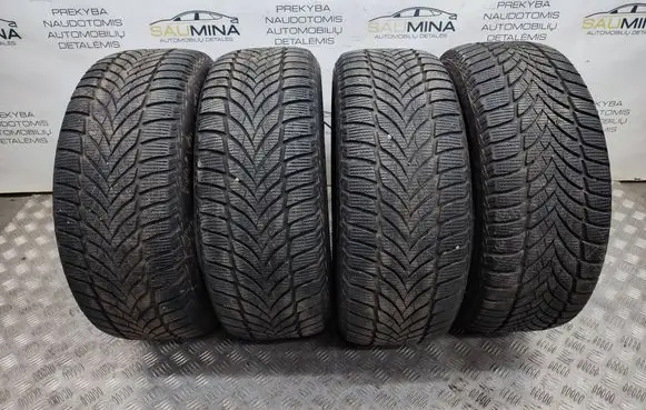 Volkswagen PASSAT B7 R16 winter tire 