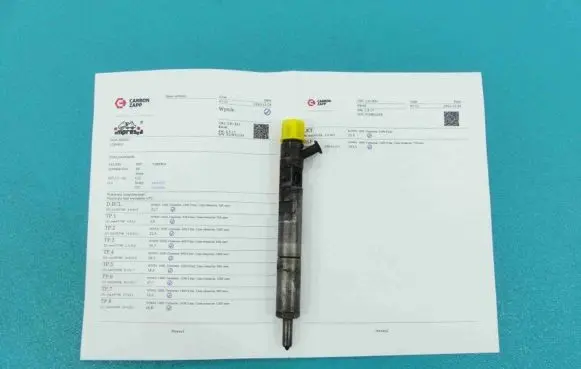Renault Kangoo I Fuel injector EJBR04101D IMPRK1289903