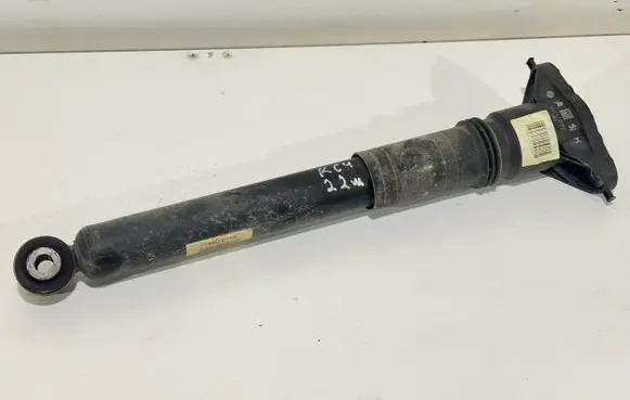 Citroen C4 III e-C4 Rear shock absorber/damper 9841379480
