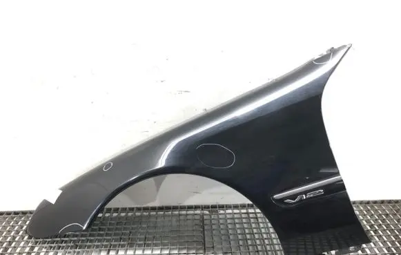 Fender