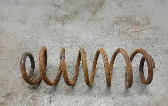 Seat Altea Rear coil spring